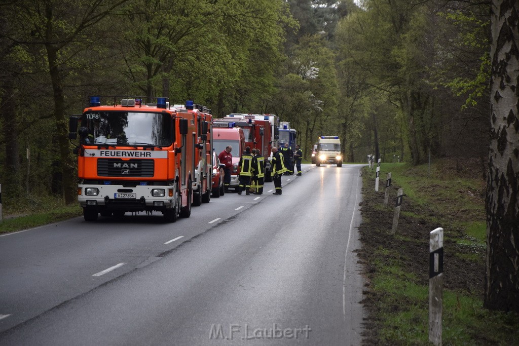 Waldbrand Wahner Heide Troisdorf Eisenweg P254.JPG - Miklos Laubert